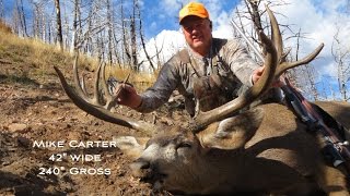 42 Inch 240 Gross Mule Deer Kill Shot - TU Highlights Episode 77