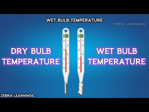 How does a wet bulb thermometer work?