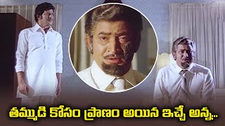 తమ్ముడి కోసం ప్రాణం అయిన ఇచ్చే అన్న | Krishna | Rakthasambandham | ETV #RS