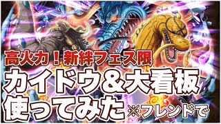 さすがの火力！新絆フェス限「カイドウ＆大看板」フレンドで使ってみた/トレクル/OPTC