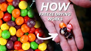 What is Freeze Drying?