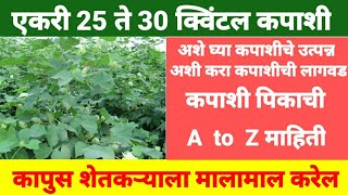 कपाशी लागवड विषयी माहिती l एकरी 25 ते 30 क्विंटल कापूस उत्पादन कशे घ्यावे l शेती विषयक माहिती l शेती