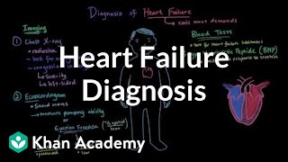 Heart failure diagnosis | Circulatory System and Disease | NCLEX-RN | Khan Academy