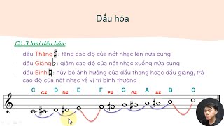 BÀI 20 (Phần 2): CUNG & DẤU HÓA [Khóa học nhạc lý cơ bản & thực hành]