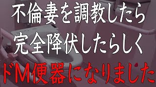 【修羅場】不倫妻の復讐を計画的に下していく俺。嫁は俺に完全降伏し、みるみる…