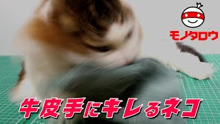 モノタロウの牛革手にキレる猫