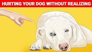16 Ways You are Hurting Your Dog Without Realizing