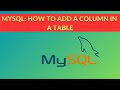 #04 How to Add Column in a MySQL Table