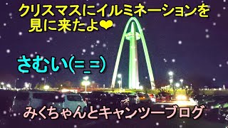 No.263　クリスマス　木曾三川公園138タワーパークにイルミネーションを見に来たよ❣　Xmas　Christmas　寒っ！！