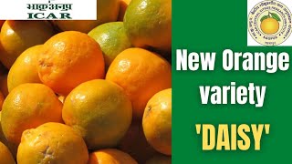 New orange variety  ICAR-NRCC(Nagpur)|AGRONOMICS|