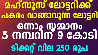 മഹ്‌സൂസ് ലോട്ടറിക്ക് പകരം എടുക്കാവുന്ന ഒരു ലോട്ടറി , Mahzooz lotto alternatives, Mahzooz lotto New