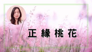 正緣桃花 | 八字案例 (CC 繁/簡字幕)