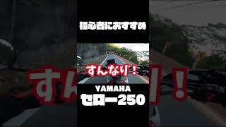 【1分でわかる！】YAMAHAセローの魅力 #Shorts