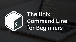 Bash for Beginners | Copying Files and Directories