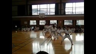 「日田五和道場団体演武・掌拳（しょうけん）」第１４回徒手空拳「白石杯」