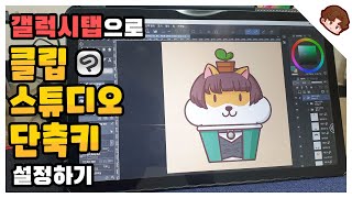 갤럭시탭s6라이트 클립스튜디오 단축키 사용하여 작업시간 단축하기