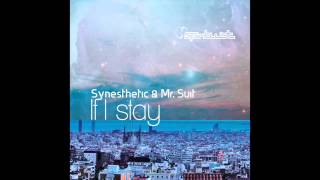 Official - Synesthetic - More Than Everything