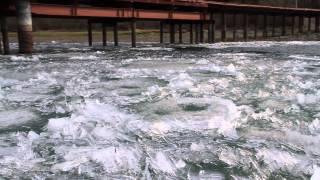 Candle ice at Carcross, Yukon