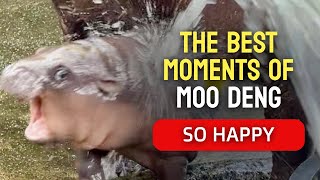 Why the Internet is OBSESSED with Moo Deng