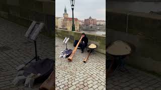 Street performance, Charles Bridge in Prague (Karlův most), Czech Republic #shorts #travel #tourism