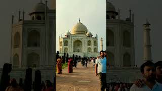 The Taj Mahal #shorts #tajmahal #asmr #trending #youtubeshorts #love #tree #scenery #viral