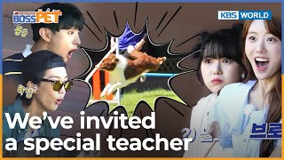 We’ve invited a special teacher 🏫 [Boss Pet : EP.8] | KBS WORLD TV 220923