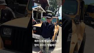 제주도에 지프 랭글러가 모이는 핫플레이스