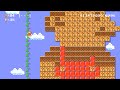 Super Mario Maker 2: Endless Challenge - World Records + Reaching 500 Clears!!