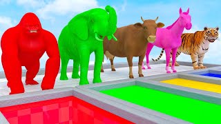 Learn Colors With Animals Cow, Tiger, Lion, Gorilla, Elephant, Shark Crossing An