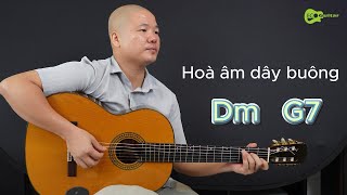 #no2# Hoà âm dây buông (Dm  G7) Sơn Phúc guitar- Ecoguitar