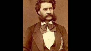 Vom Donaustrande op. 356 - Johann Strauss II