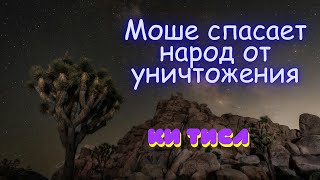 Моисей (Моше) Спасает  народ от уничтожения - Глава: Ки Тиса. Когда будешь вести счет.