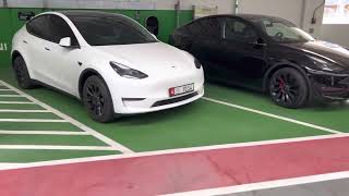 Tesla Model Y Performance White vs Black