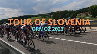 Dirka po Sloveniji 2023 (Tour of Slovenia), 2. etapa, Ormož, 4K video