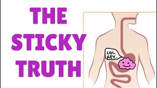 The Sticky Truth About Swallowing Chewing Gum