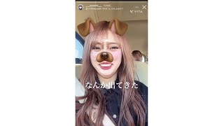 平成フラミンゴ NICO 2022.09.21～30 Instagram インスタ ストーリー