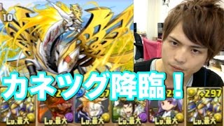 パズドラ【カネツグ降臨】超地獄級　光ラーPT（周回解説）