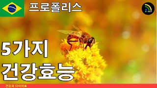 [브라질 웰빙]프로폴리스의 5가지 건강효능