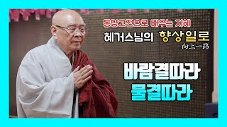 바람결따라 물결따라 : 혜거스님의 동양고전으로 배우는 지혜 향상일로 (20)