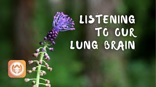 Practice Listening to Our Lung Brain | Sister Dang Nghiem