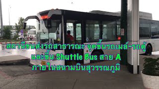 พาขึ้นรถ Shuttle bus สาย Aและดูสถานีขนส่งสาธารณะท่าอากาศยานสุวรรณภูมิ