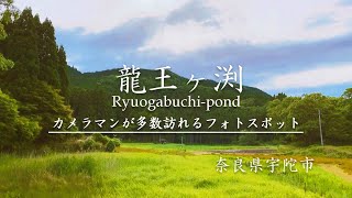 奈良県の絶景🏔神秘的な池がある龍王ヶ渕を散策 Japan Walk, Ryuogabuchi-pond