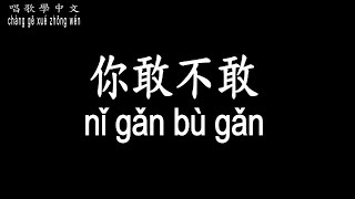 【唱歌學中文】►徐佳瑩 – 你敢不敢◀ ► xú jiā yíng - nǐ gǎn bù gǎn◀『你敢不敢 愛錯了人 卻不想面對』【動態歌詞中文、拼音Lyrics】