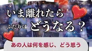 🌸今、離れたらどうなる？👨👩あの人はどう思う？【もしもの未来・可能性のお話】