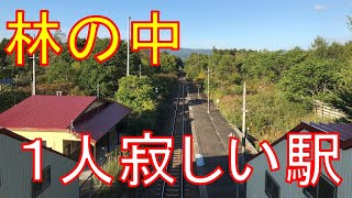 【函館本線廃止駅巡り#3】静かな夕暮れに佇む。人の気配がない池田園駅。