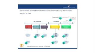 6. How the EMA works with Healthcare Professionals