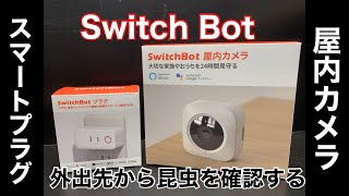 【switchBot】外出先からヘラクレスオオカブトの様子を確認する【Wi-Fi】