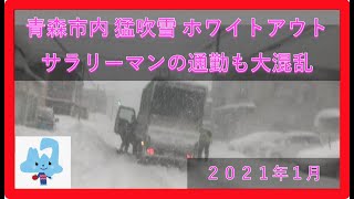 ホワイトアウトの恐怖 「突然視界が真っ白に」「窓やミラーも真っ白」 突然目の前に現れる人や車