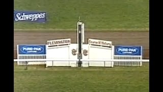 1984 VRC Australian Cup AUDIO