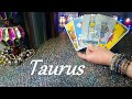 Taurus ❤ Someone Is Catching Feelings For You Taurus!! FUTURE LOVE January 2024 #Tarot